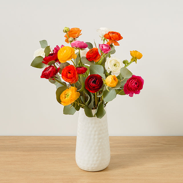 Rainbow Ranunculus